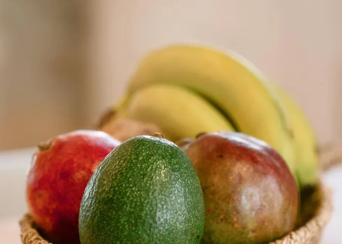 Kelly's Traditional House Of Hébergement de vacances Kálymnos